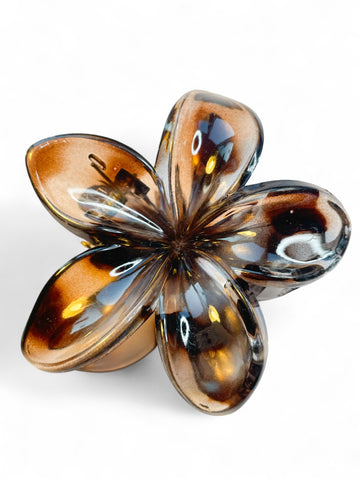 Barrette Brune