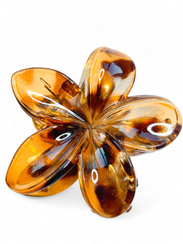 Barrette Miel