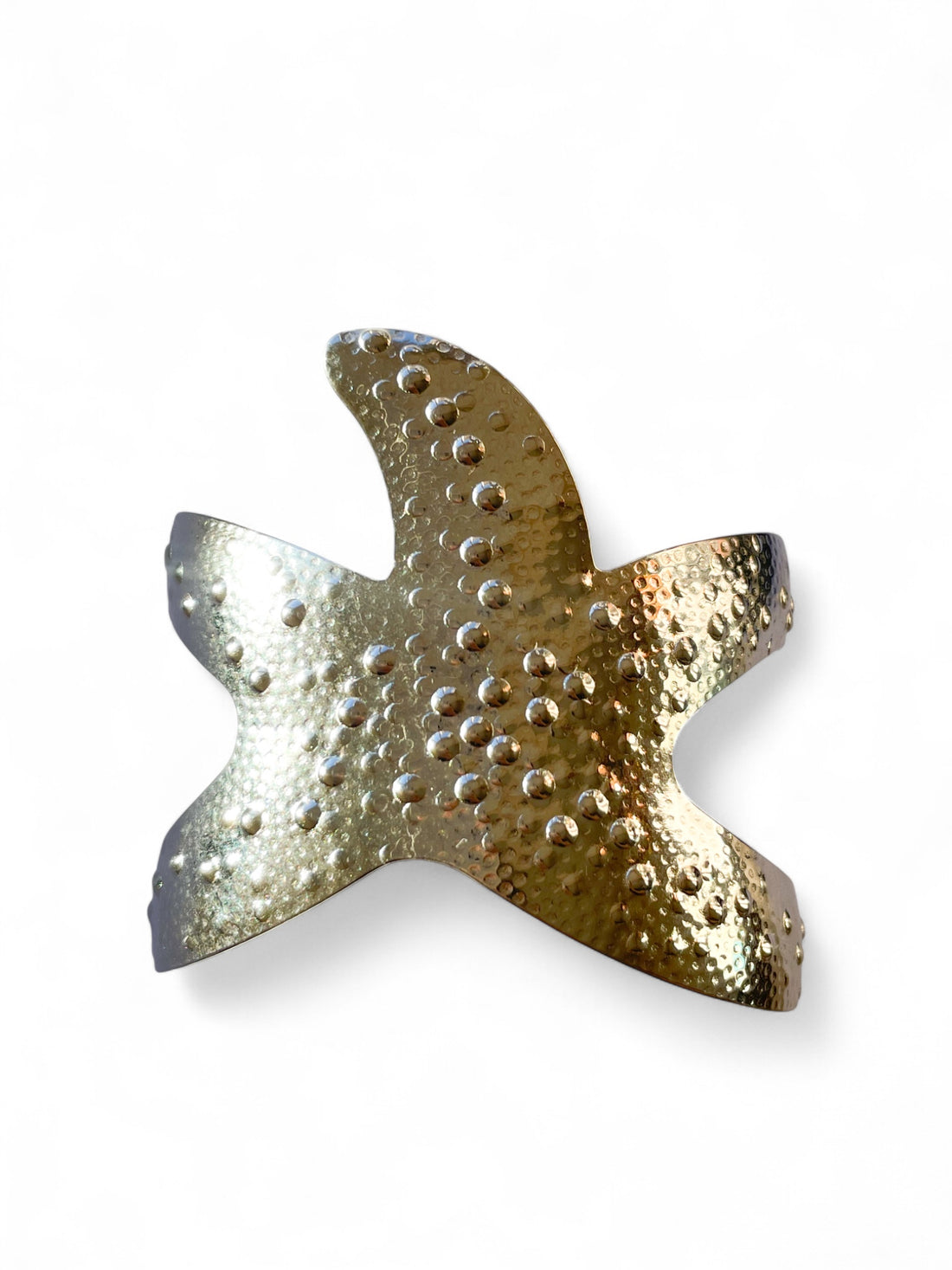 Jonc Étoile de Mer (Argenté)